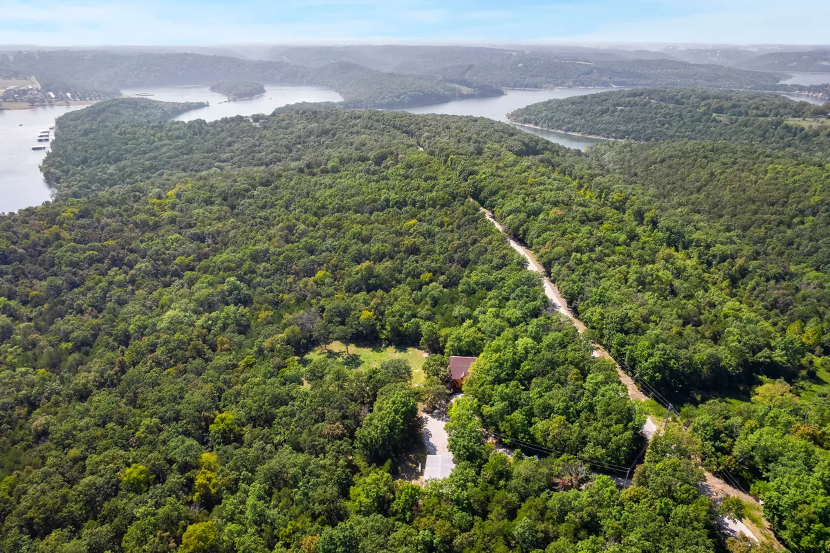 A high, sweeping view of the Ozark landscape featuring a lush green forest, a winding road, and a shimmering water body with a solitary house nestled among the trees. The setting is peaceful and removed from urban distractions, inviting exploration and immersion in nature.